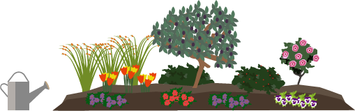 Finished_garden