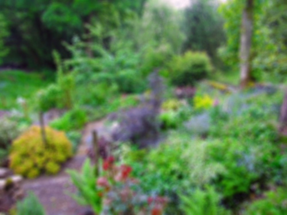 Garden Mentor - Blurred Garden